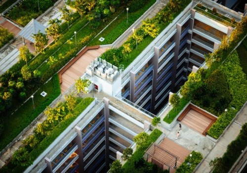 Green Roofing: The Sustainable Solution for Your Roofing Needs