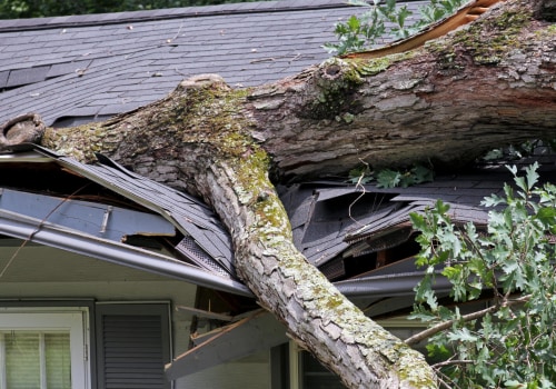 How to Repair Tree Damage on Your Roof
